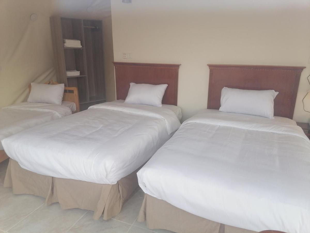 Sara Luxury Camp Hotel Wadi Rum Eksteriør billede