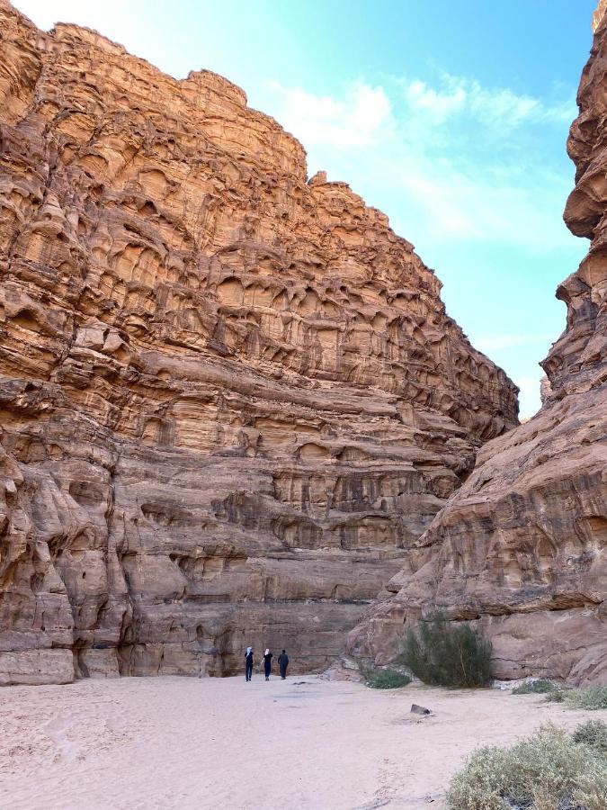 Sara Luxury Camp Hotel Wadi Rum Eksteriør billede